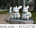 Izumo Taisha approach road rabbit image 2 45112730