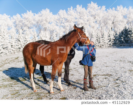 Portrait of girl with foals on frosty pasture 45112929
