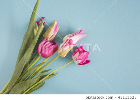 Greeting card: bouquet of fresh purple tulips Greeting card: bouquet of fresh purple tulips 45113525