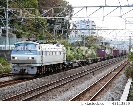 Morning EF 66 Morning EF 66 45113839