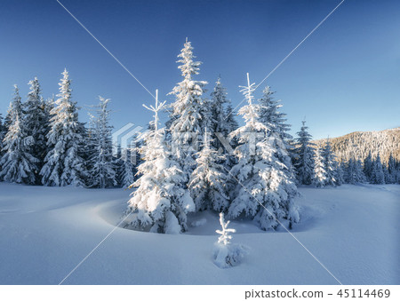 Mysterious winter landscape majestic mountains 45114469