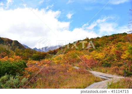 阿爾卑斯山平自然小徑 阿爾卑斯山平自然小徑 45114715