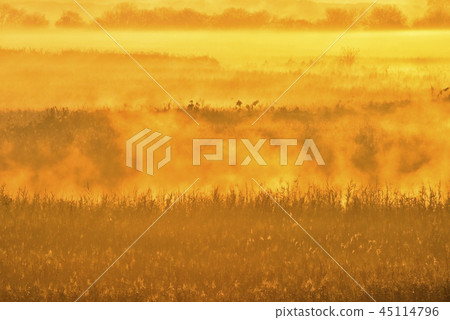 早晨在浮動的Watarose Yusu地面發出的霧 45114796