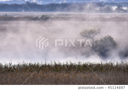 Asakigiri watarase水上樂園 45114897