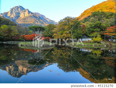 Baekyangsa寺與反思 Baekyangsa寺與反思 45115270