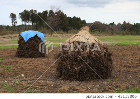 玫瑰和藍色的床單 玫瑰和藍色的床單 45115800