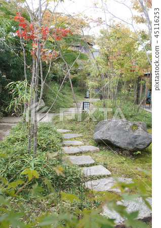 Autumn Japanese Garden Autumn Japanese Garden 45116253