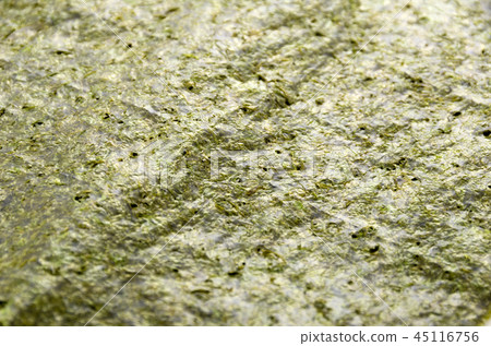 Grilled Nori seaweed up 45116756