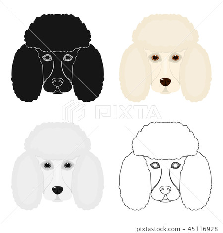 poodle muzzle