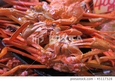 Crab 45117328
