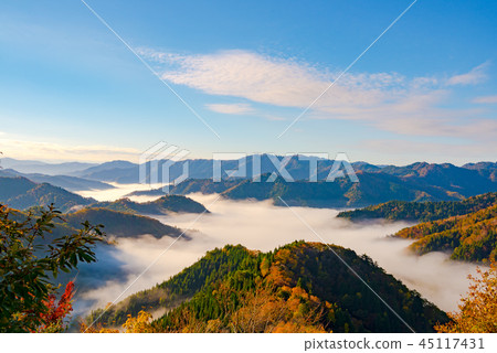 秋葉清晨 秋葉清晨 45117431