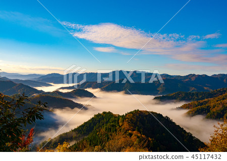 秋葉清晨 秋葉清晨 45117432