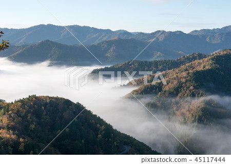 秋葉清晨 秋葉清晨 45117444