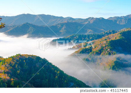 秋葉清晨 45117445