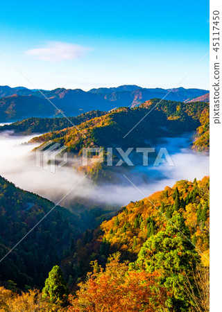 秋葉清晨 秋葉清晨 45117450