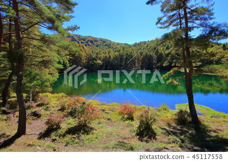 Nagano Prefecture Fall Akaike 45117558