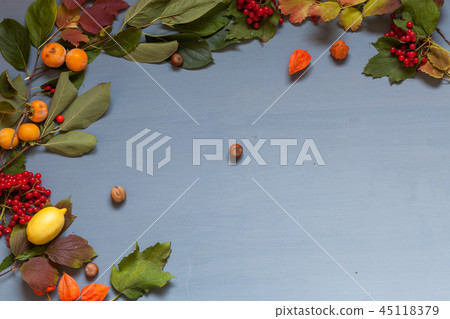 autumn yellow and Red leaves and fruits on a grey background autumn yellow and Red leaves and fruits on a grey background 45118379