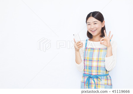 家庭主婦 45119666