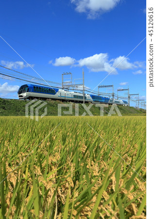 島風 島風 45120616