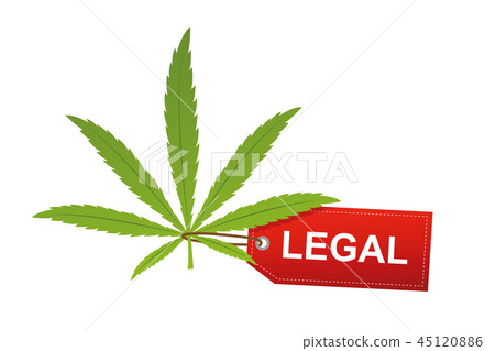 cannabis leaf with red legal label isoladet on white background cannabis leaf with red legal label isoladet on white background 45120886