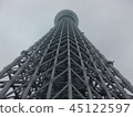 Sky tree  45122597