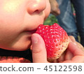 Strawberry picking children 45122598