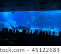 Aquarium 45122683