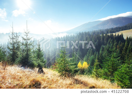 Winter landscape glowing by sunlight. Dramatic scene. Scenic fog Winter landscape glowing by sunlight. Dramatic scene. Scenic fog 45122708