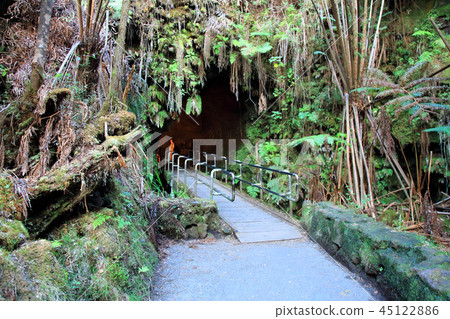 Kilauea Volcano Thurston Lava Tube Kilauea Volcano Thurston Lava Tube 45122886