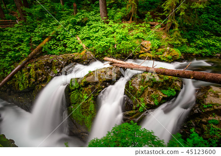 Sol Duc Falls Olympic National Park Sol Duc Falls Olympic National Park 45123600