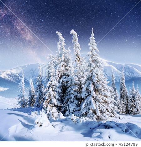 Dairy Star Trek in the winter woods. Dairy Star Trek in the winter woods. 45124789