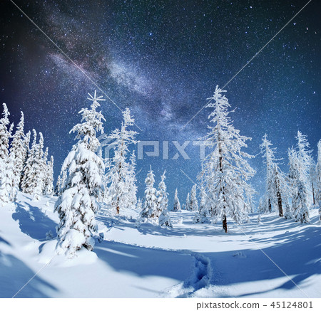 starry sky in winter snowy night. fantastic milky way starry sky in winter snowy night. fantastic milky way 45124801