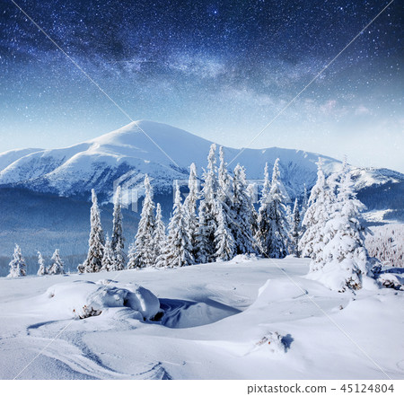 Dairy Star Trek in the winter woods. Dairy Star Trek in the winter woods. 45124804