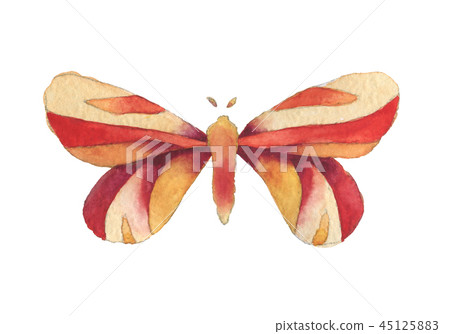Fantasy red, orange and yellow butterfly Fantasy red, orange and yellow butterfly 45125883