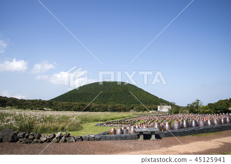 濟州島 濟州島 45125941