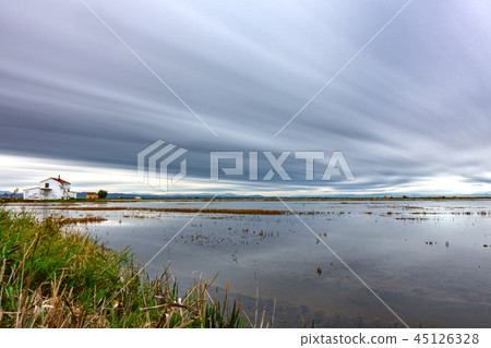Ultra long exposure of flooded rice field Ultra long exposure of flooded rice field 45126328
