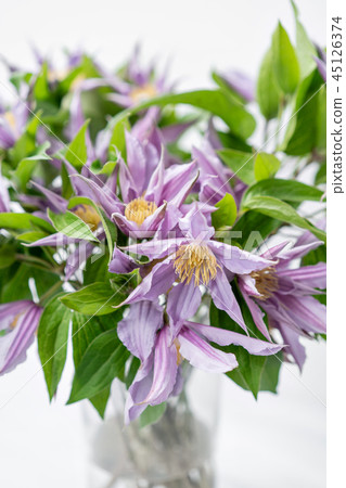 bouquet of lilac clematis flowers in glass vase. the work of the florist at a flower shop. A glass 45126374