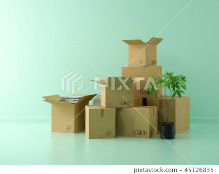 Interior with cardboard boxes for relocation 45126835