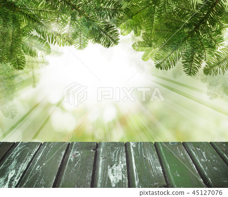 Christmas background. Pine tree branch Christmas background. Pine tree branch 45127076