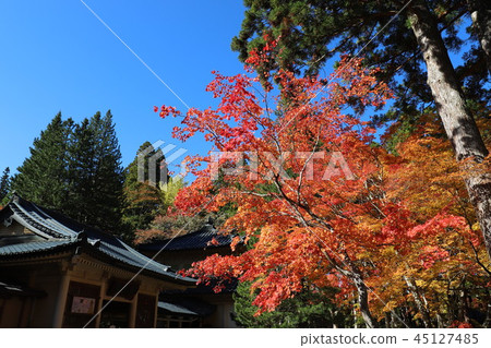 Autumn leaves of Mt. Koya Autumn leaves of Mt. Koya 45127485