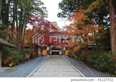 高野山的秋葉 45127532