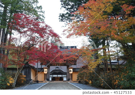 高野山的秋葉 45127533