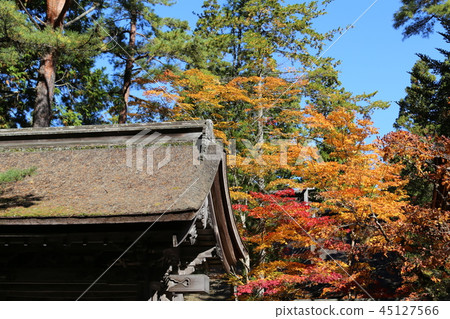 高野山的秋葉 高野山的秋葉 45127566