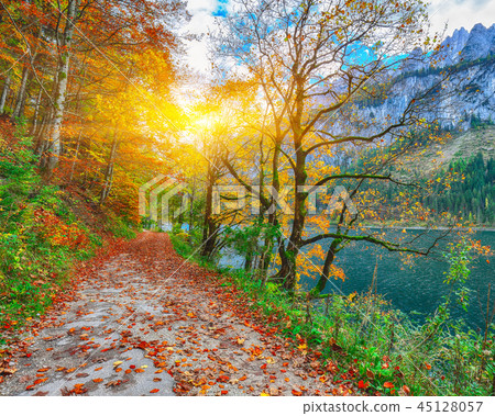 Beautiful view of idyllic colorful autumn scenery  45128057