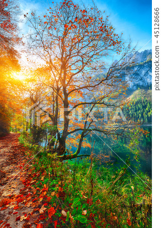 Beautiful view of idyllic colorful autumn scenery Beautiful view of idyllic colorful autumn scenery 45128666