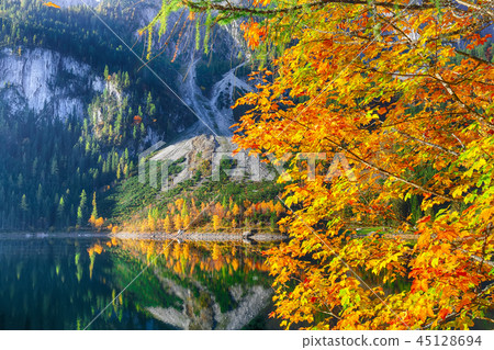 Beautiful view of idyllic colorful autumn scenery 45128694