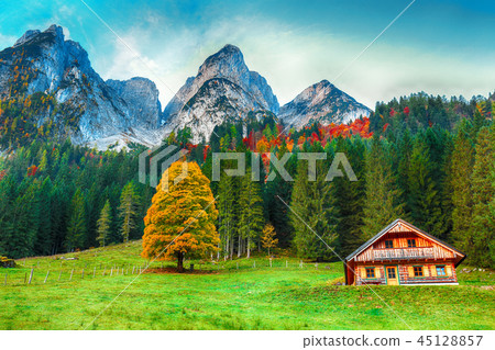 Beautiful view of idyllic colorful autumn scenery  45128857