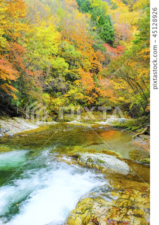 Terushiro Gorge of autumn leaves 2018 (vertical) Terushiro Gorge of autumn leaves 2018 (vertical) 45128926