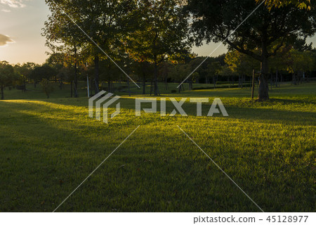 發光的公園 45128977