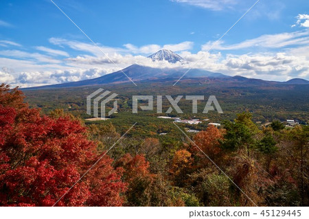 山梨縣富士山百草堂的秋葉 山梨縣富士山百草堂的秋葉 45129445